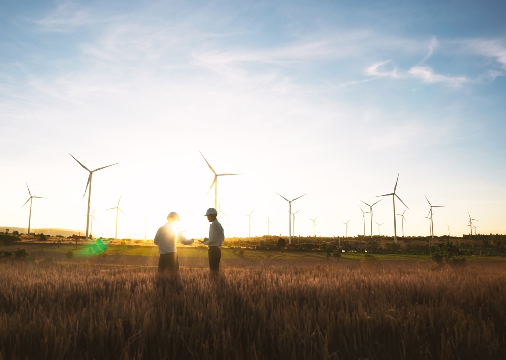 SS-Windfarm-1000x712.jpg