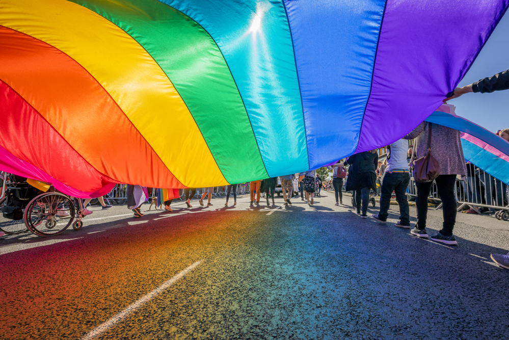 SS-LGBTQ inclusion.jpg