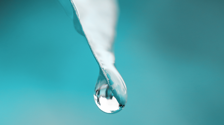 trillium-esg-global-equity-746-419.png