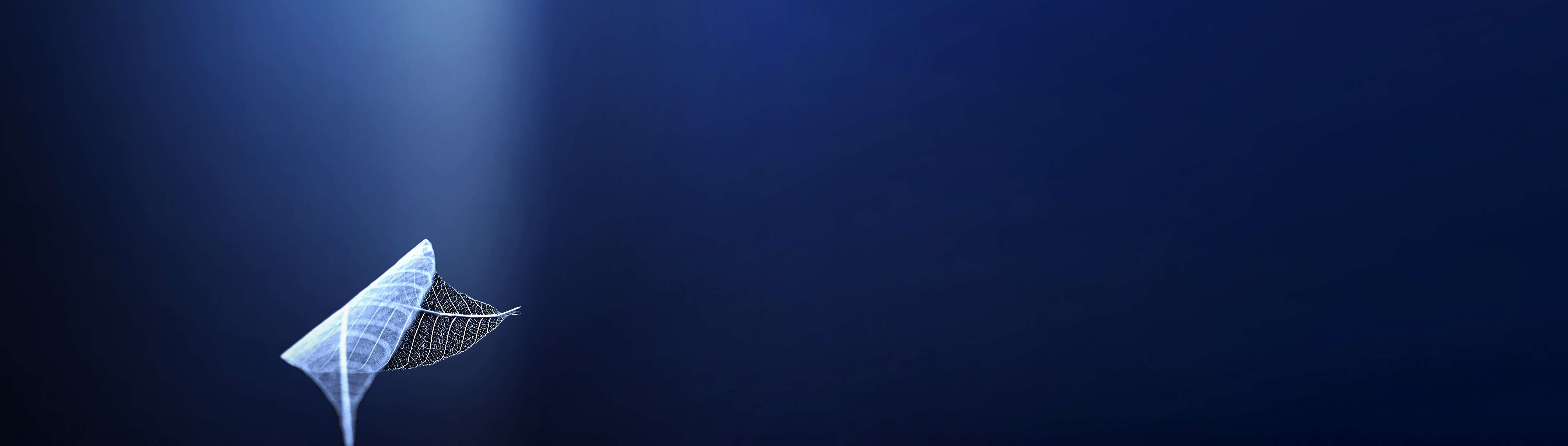 hero-banner-direct-equities-flipped.png