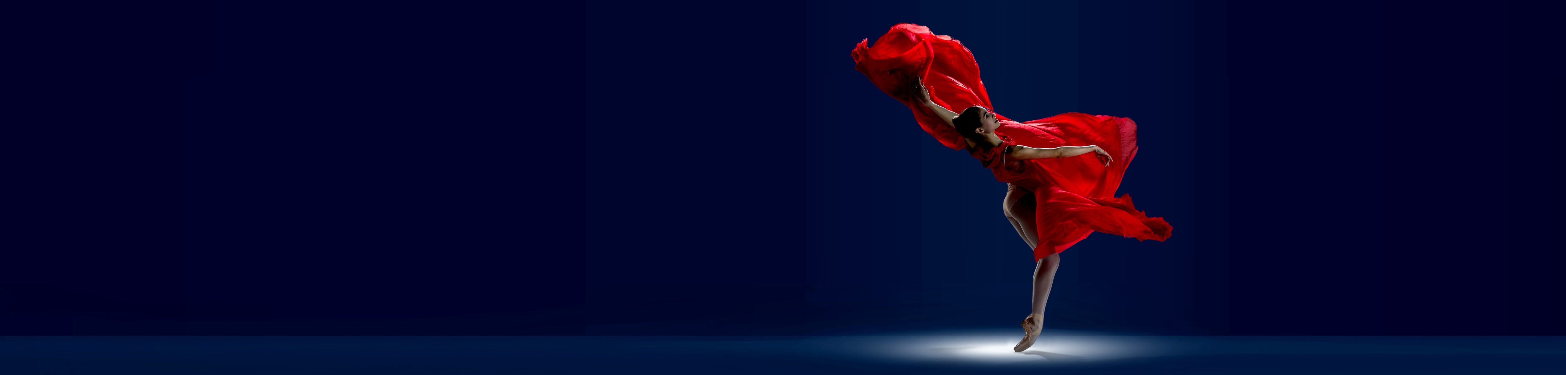 PER0298 2500x600 Landing Page Banner_Ballerina_FIN@2x[2].jpg