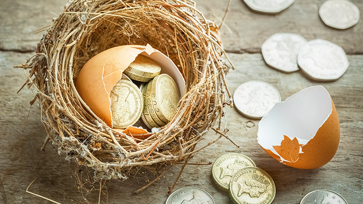 To-retire-with-more-get-financial-advice-746x419.jpg