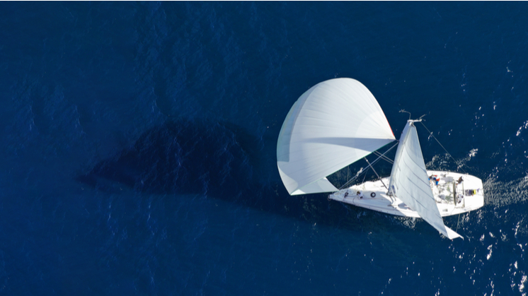 aerial-view-sail-boat-746-419.jpg